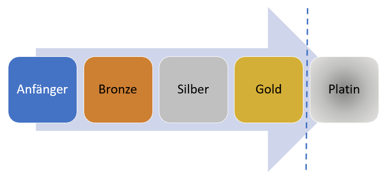 Das Stufensystem von Claras Latin Dance Academy besteht aus fünf Stufen: Anfänger, Bronze, Silber und Gold; und für besonders ambitionierte und erfolgreiche Tänzer zusätzlich Platin.